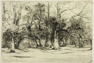 En ad-vej i Tipperary af Francis Seymour Haden