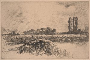 A Water Meadow (ætsning og tørnål) af Francis Seymour Haden