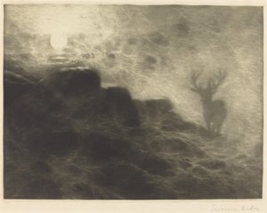 En tidlig opstander af Francis Seymour Haden