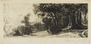 Tidlig morgen, Richmond Park af Francis Seymour Haden