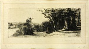 Tidlig morgen, Richmond Park