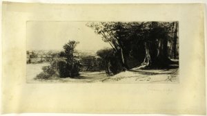 Tidlig morgen, Richmond Park af Francis Seymour Haden