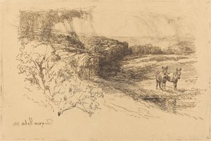 Encombe Woods (nr. 1) af Francis Seymour Haden