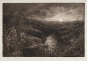 Myggens tilholdssted. af Francis Seymour Haden