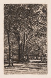 Kensington Gardens, nr. 2 (The Larger Plate) af Francis Seymour Haden