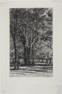 Kensington Gardens, nr. II (stor plade)