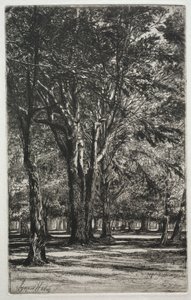 Kensington Gardens The Large Plate, 1860. af Francis Seymour Haden