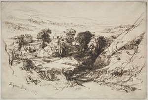 Nine Barrow Down, 1877. af Francis Seymour Haden