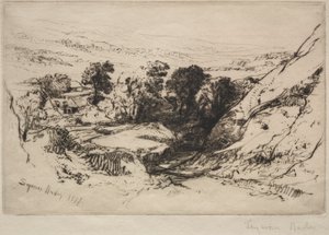Nine Barrow Down, 1877. af Francis Seymour Haden