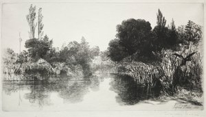 Shere Mill Pond, nr. 11 (Den store plade) af Francis Seymour Haden