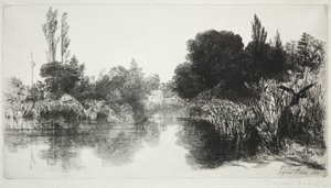 Shere Mill Pond, nr. 11 Den store plade, 1860 og senere. af Francis Seymour Haden