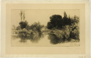 Shere Mill Pond, nr. II (stor plade)