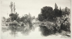 Shere Mill Pond The Larger Plate, 1860. af Francis Seymour Haden