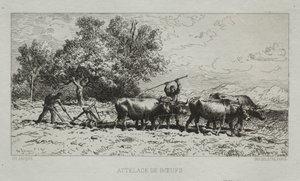 Team af okser af Francis Seymour Haden