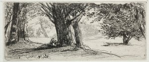 Holly Field. af Francis Seymour Haden