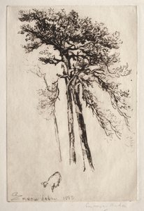 Det seneste træ af Francis Seymour Haden