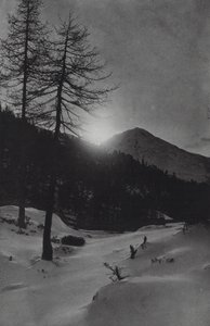 Alperne: I nærheden af Obergurgl (s/h foto)