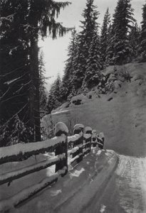 Alperne: Winter Morning, nær St Anton (s/h foto)