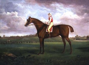 Jockey op