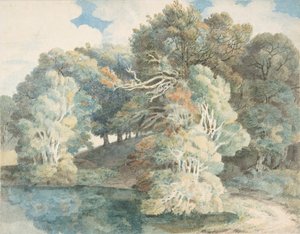 Træer ved søen, Peamore Park, nær Exeter, Devon, 1790-1810. af Francis Towne