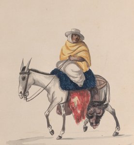 En slagter, der rider på et æsel, fra en gruppe tegninger, der forestiller peruviansk kostume, ca. 1848.