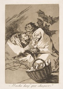 Tallerken 45 fra Los Caprichos: Der er masser at suge af Francisco de Goya