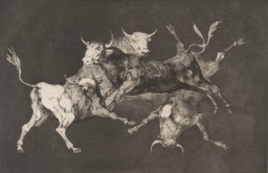 Plade D fra Disparates: Fools-or Little Bulls - fo..., ca. 1816-23 udgivet før 1877. af Francisco de Goya