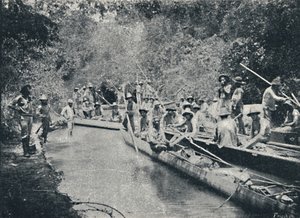 Udforskning af Ro de Sto. Anastacio, 1895