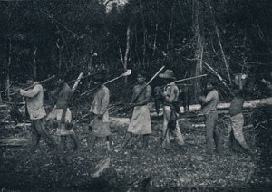 Guarany-indianere, vender tilbage fra en Caþada, 1895