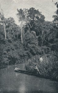 S. Anastacio-floden, 1895