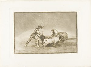 En spansk ridder dræber tyren efter at have mistet sin hest, plade ni fra The Art of Tyrefighting af Francisco Jose de Goya y Lucientes