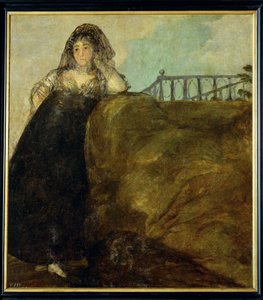 Dona Leocadia Zorrilla (maleri på lærred) af Francisco Jose de Goya y Lucientes