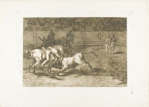 Mariano Ceballos, alias indianeren, dræber tyren fra sin hest, plade 23 fra The Art of Tyrefighting af Francisco Jose de Goya y Lucientes