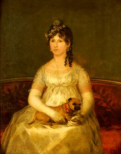 Portræt af Dona Francisca Vicenta Chollet y Caballero, siddende, trekvart længde, med en skødehund, 1806
