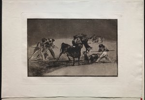 Tyrefægtning: maurerne bruger æsler som en barriere til at forsvare sig mod tyren, hvis horn er blevet vippet med bolde af Francisco de Goya