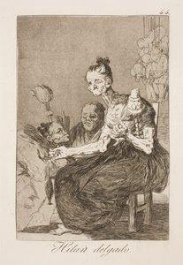 De spinder smukt af Francisco de Goya
