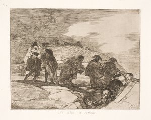 De ved ikke hvorhen (70) af Francisco de Goya