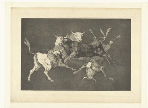 De små tyres tåbelighed Uensartede tontos Los Disparates (The follies) (serietitel) Los Proverbios (Ordsprogene) (serietitel) af Francisco de Goya