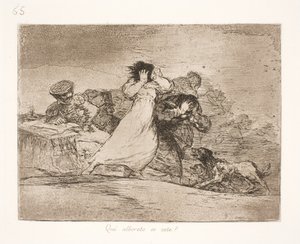 Hvad betyder denne forvirring? (65) af Francisco de Goya