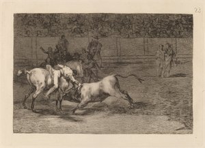 Mariano Ceballos, alias indianeren, dræber tyren fra sin hest (Mariano Ceballos, Alias ​​​​indianeren, dræber tyren fra sin hest) af Francisco de Goya