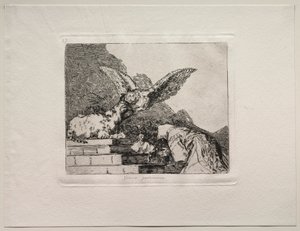 The Horrors of War: Feline Pantomime af Francisco de Goya