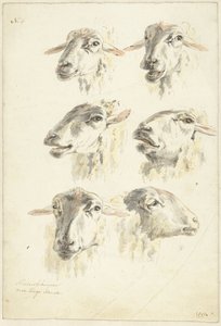 Studieark med seks fårehoveder af Franciscus Andreas Milatz (attributed to)