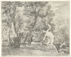 Narcissus af Franciscus de Neve