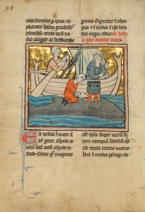 En fisker på ryggen af en hval, 1277 eller senere