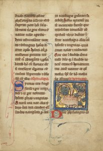 Et pindsvin fra et bestiarium Ms Ludwig XV 4, fol. 82, ca. 1280-1300 (tempera, pen og blæk, bladguld og maling på pergament)