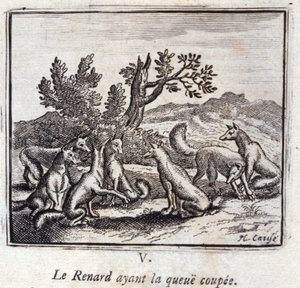 Illustration fra 