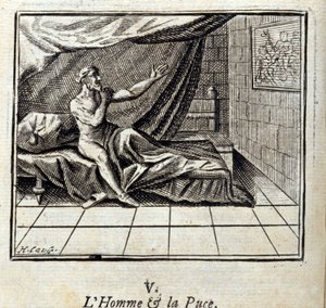 Manden og loppen. Fabler af Jean de La Fontaine (1621-95). Illustration af Francois Chauveau (1613-1676). Udgave af 1728. af Francois Chauveau