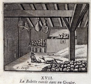 La Weasette kom ind i en Grenier. Fabler af Jean de La Fontaine (1621-95). Illustration af François Chauveau (1613-1676). Udgave af 1728. af Francois Chauveau