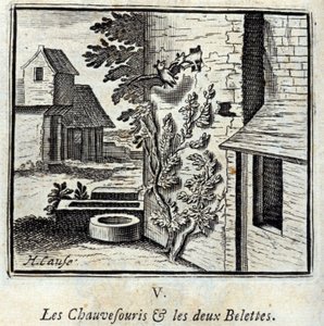 Flagermusen og de to Væsler. Fabler af Jean de La Fontaine (1621-95). Illustration af François Chauveau (1613-1676). Udgave af 1728. af Francois Chauveau