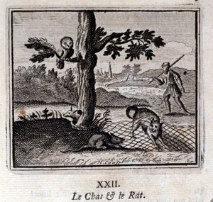 Katten og Rotten. Fabler af Jean de La Fontaine (1621-95). Illustration af Francois Chauveau (1613-1676). Udgave af 1728. af Francois Chauveau